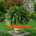 2PCS Artificial Boston Fern Hanging Plants – Lush 38-Leaf UV Resistant Fake Ferns for Indoor Outdoor Decor, Porch, Patio, Home & Wedding Greenery