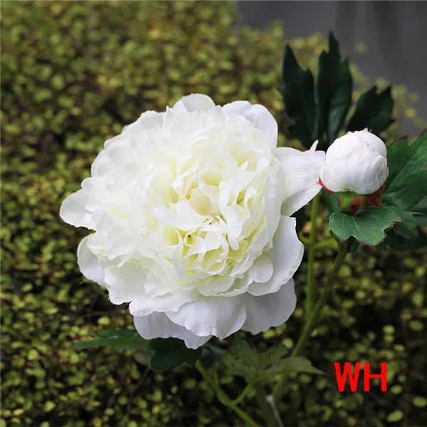 Artificial Silk Peony Stems Bulk (2-Head, 60cm)