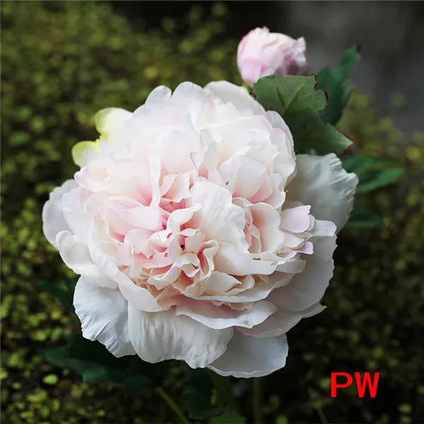 Artificial Silk Peony Stems Bulk (2-Head, 60cm)