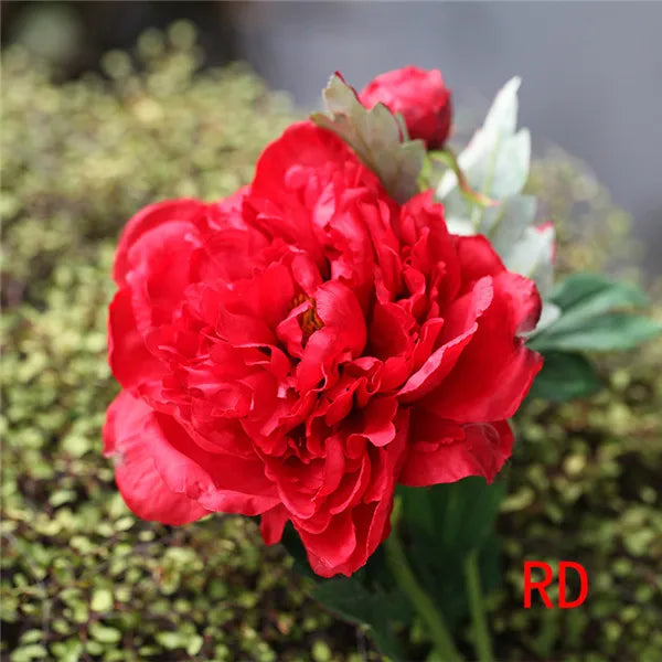 Artificial Silk Peony Stems Bulk (2-Head, 60cm)