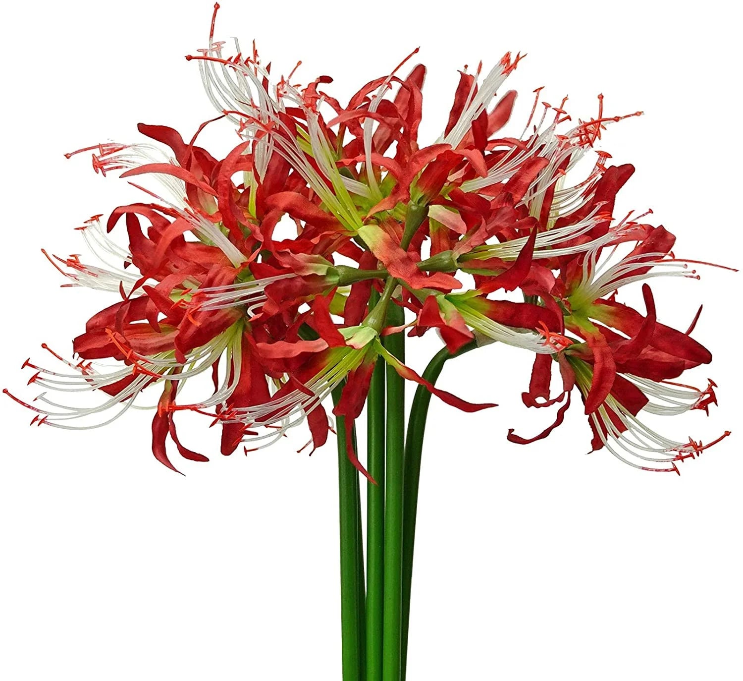 5PCS Real Touch Artificial Spider Lily Flowers Bulk – Lycoris Silk Long Stem Branches