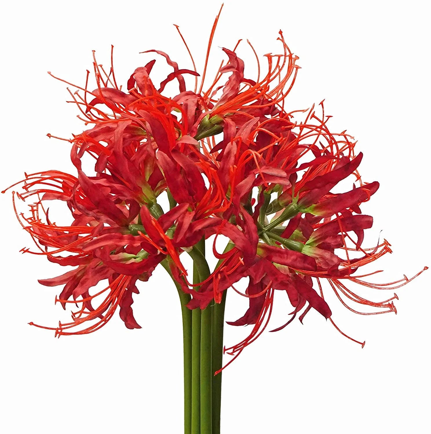 5PCS Real Touch Artificial Spider Lily Flowers Bulk – Lycoris Silk Long Stem Branches