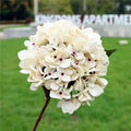 Bulk Artificial Hydrangea Flowers