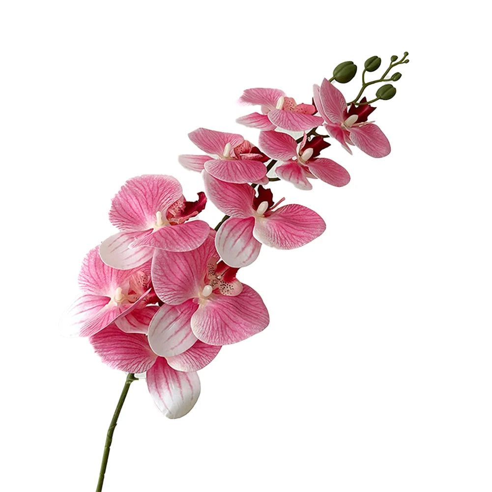 Artificial Phalaenopsis Orchid Stem – 98cm Long Faux Orchid