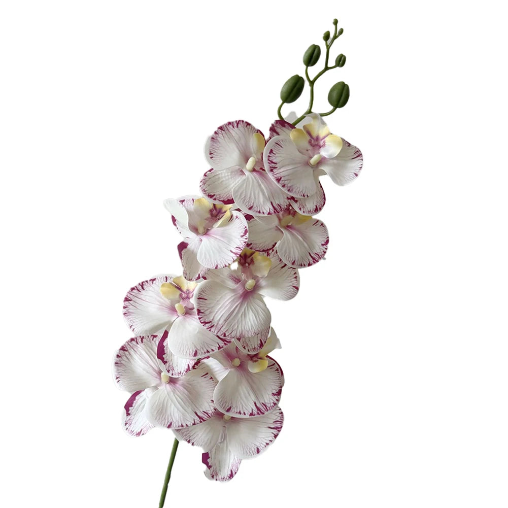 Artificial Phalaenopsis Orchid Stem – 98cm Long Faux Orchid