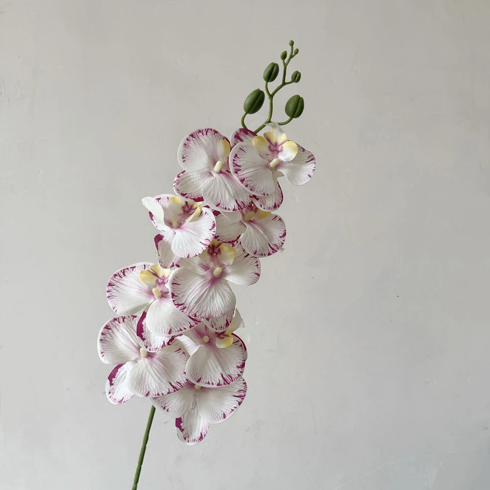 Artificial Phalaenopsis Orchid Stem – 98cm Long Faux Orchid