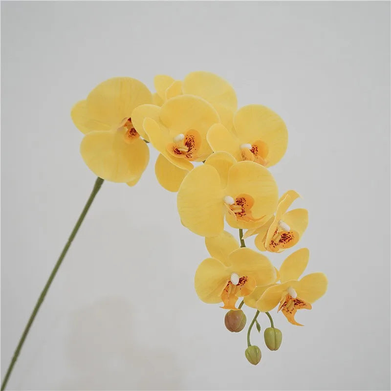 Artificial Butterfly Orchid Stem – 9-Head 98cm Faux Moth Orchid Branch