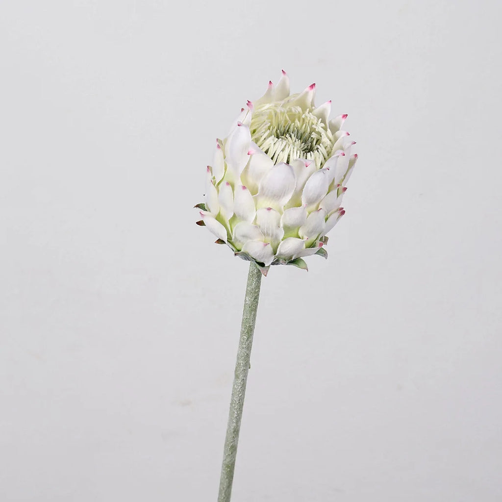 27.5" Artificial King Protea Flower – Nordic Thistle