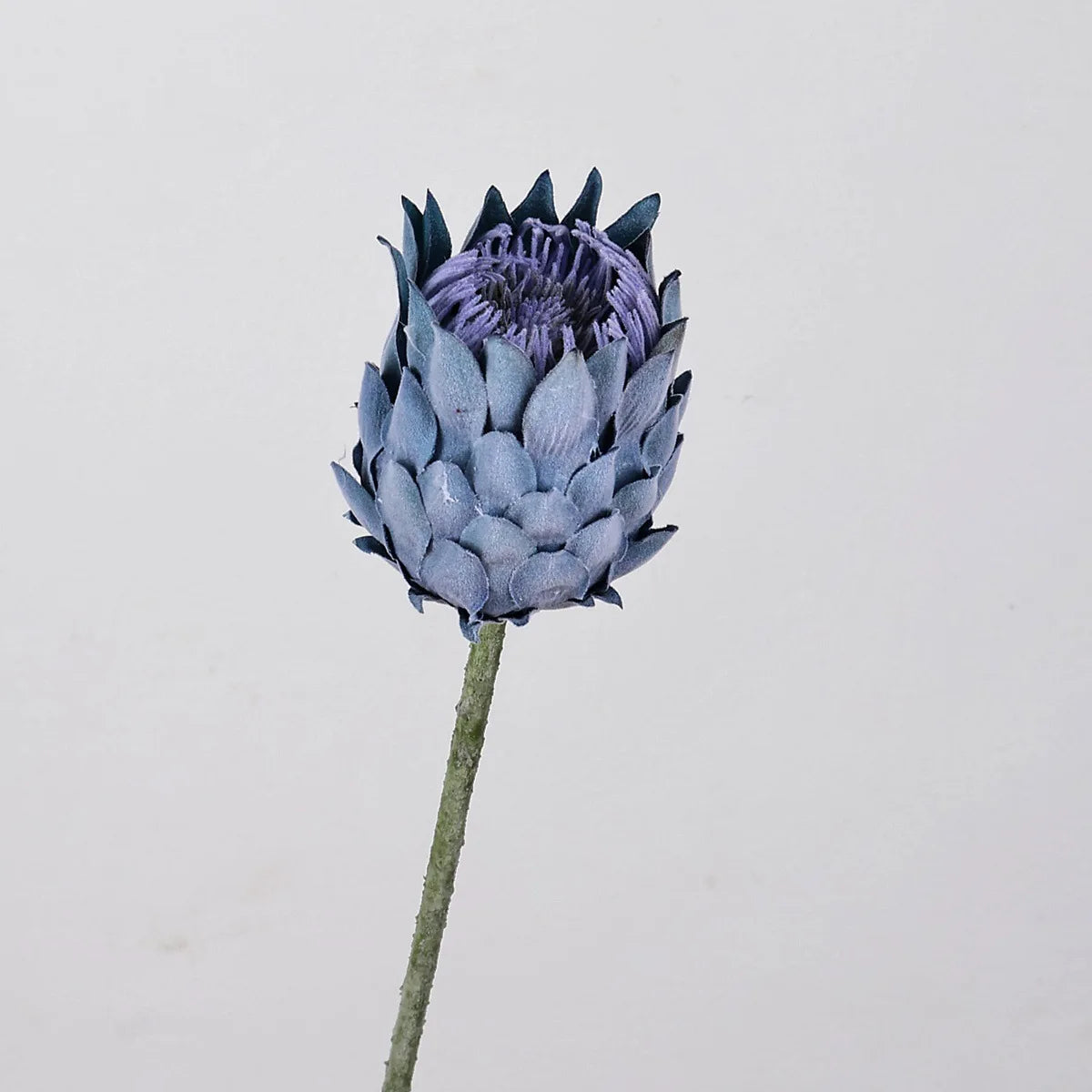 27.5" Artificial King Protea Flower – Nordic Thistle