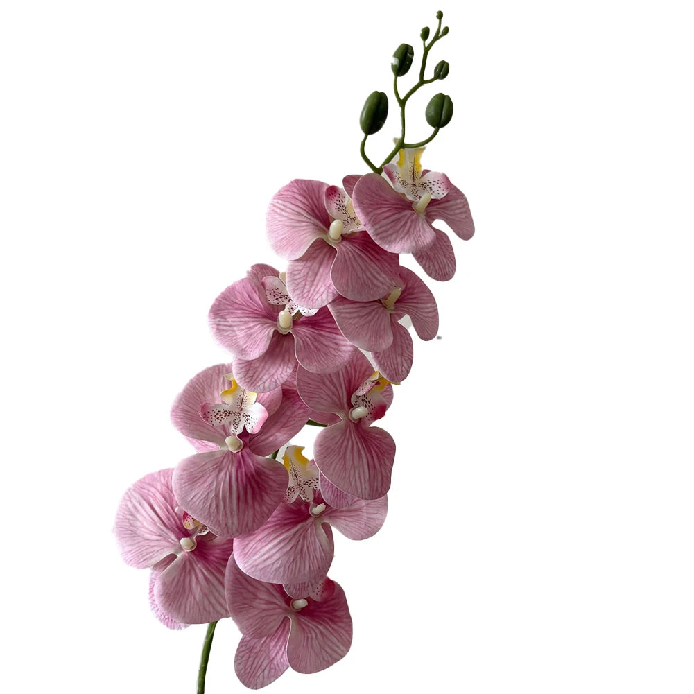 Artificial Phalaenopsis Orchid Stem – 98cm Long Faux Orchid