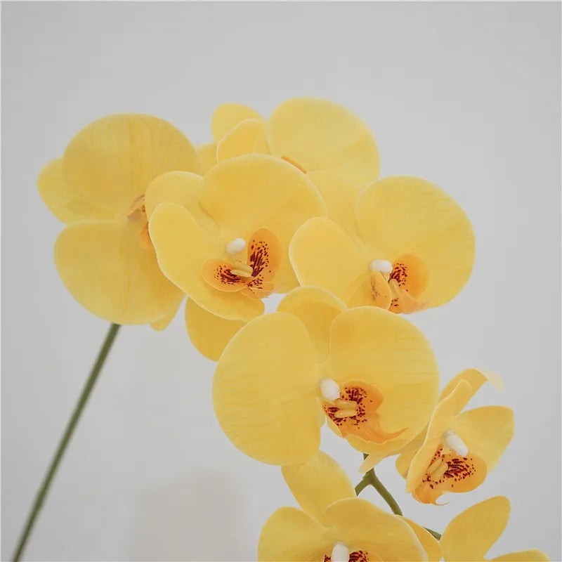 Artificial Butterfly Orchid Stem – 9-Head 98cm Faux Moth Orchid Branch