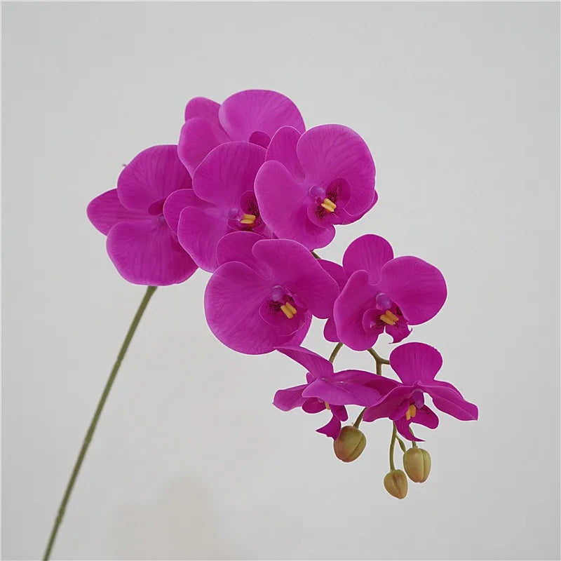 Artificial Butterfly Orchid Stem – 9-Head 98cm Faux Moth Orchid Branch
