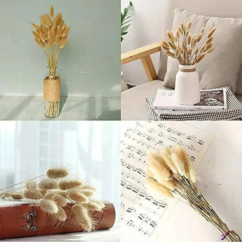 60-Piece Rabbit Tail Grass Bouquet Bulk – Fluffy Faux Bunny Tail Pampas Grass