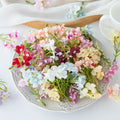 50/100PCS Artificial Plum Blossom Silk Flowers Bulk – Sakura Style Faux Blooms