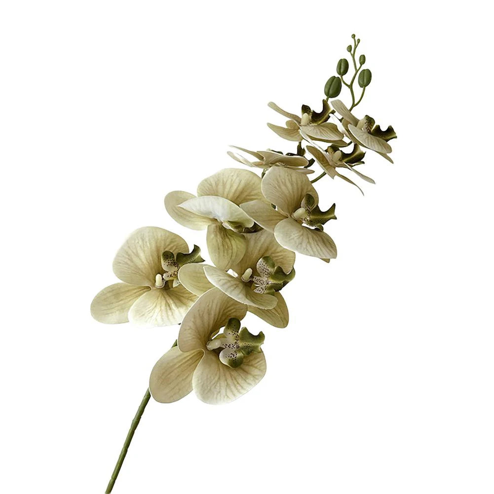 Artificial Phalaenopsis Orchid Stem – 98cm Long Faux Orchid