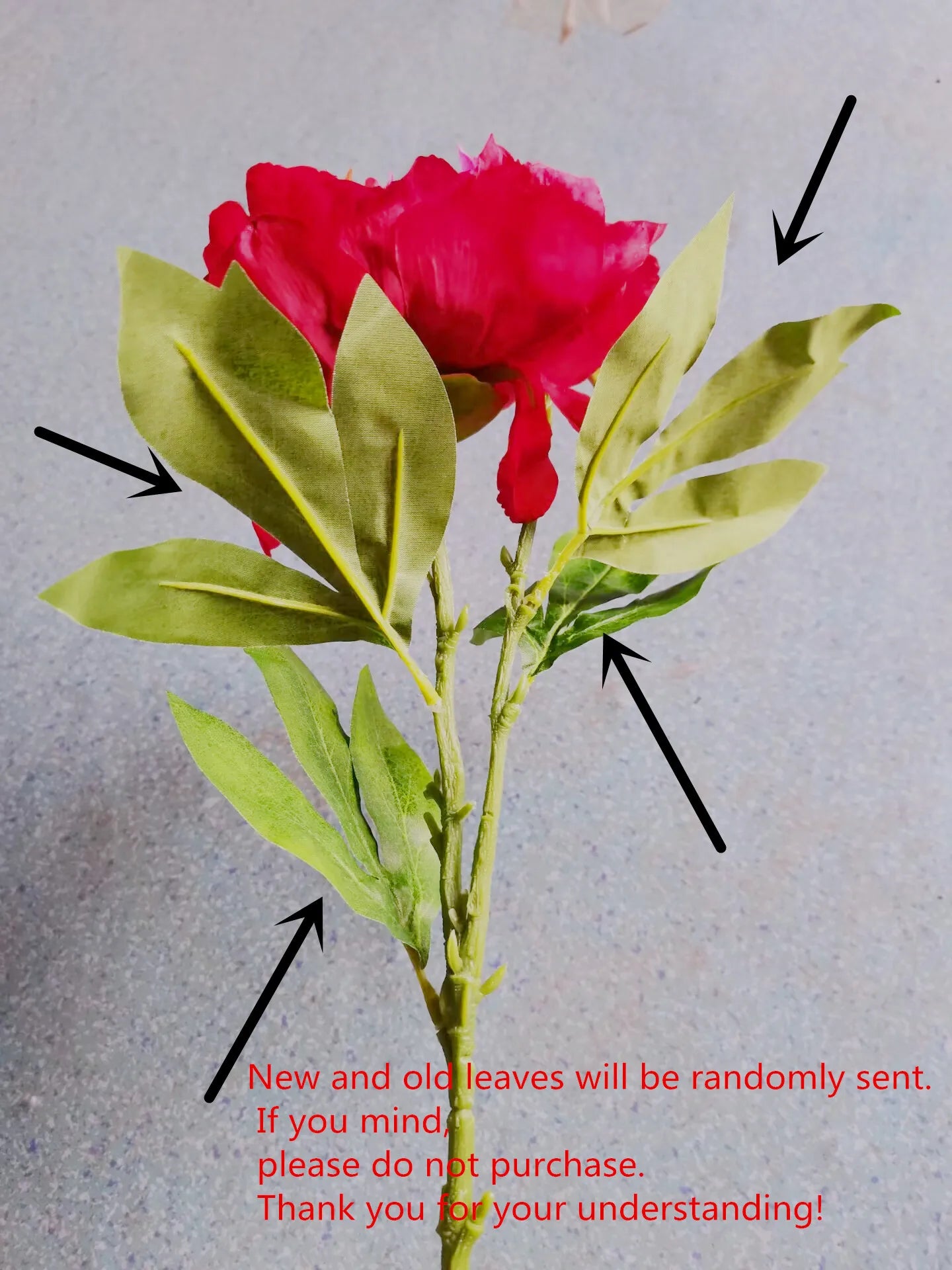 Artificial Silk Peony Stems Bulk (2-Head, 60cm)