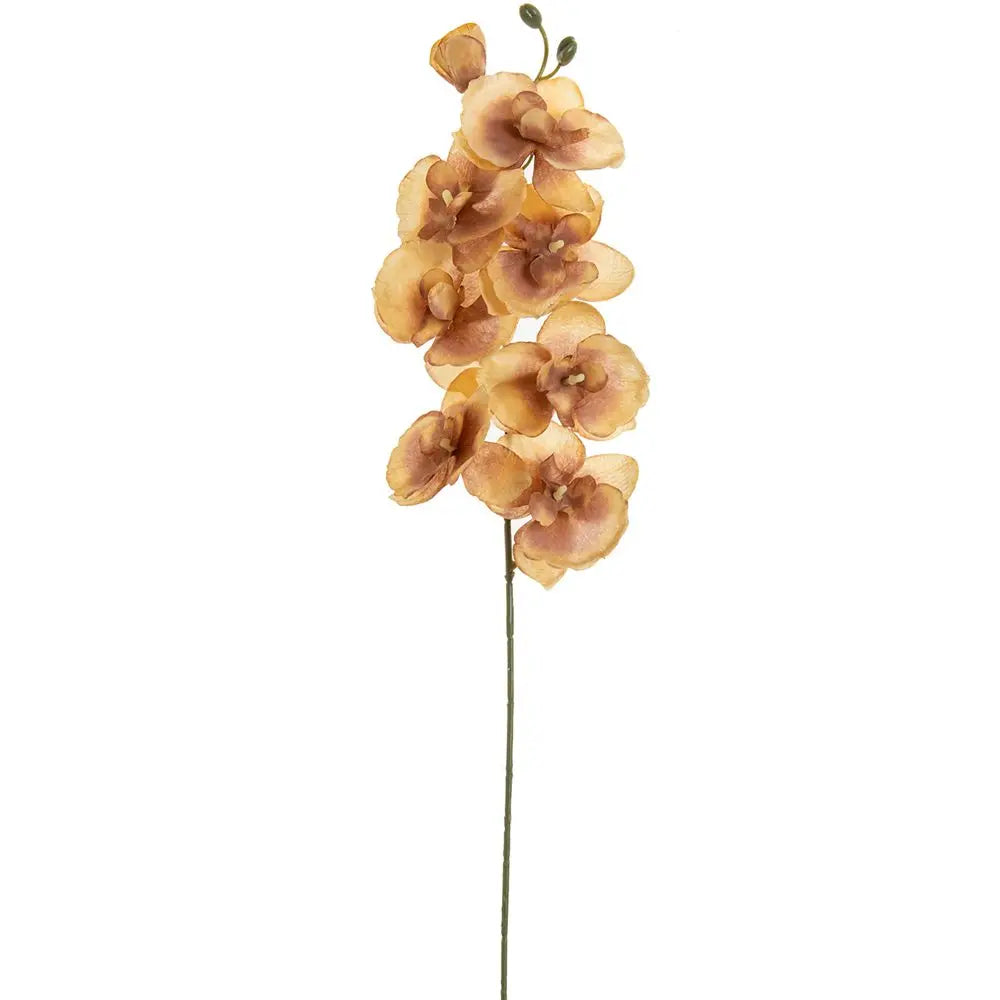 Artificial Butterfly Orchid Flower Branch – Silk