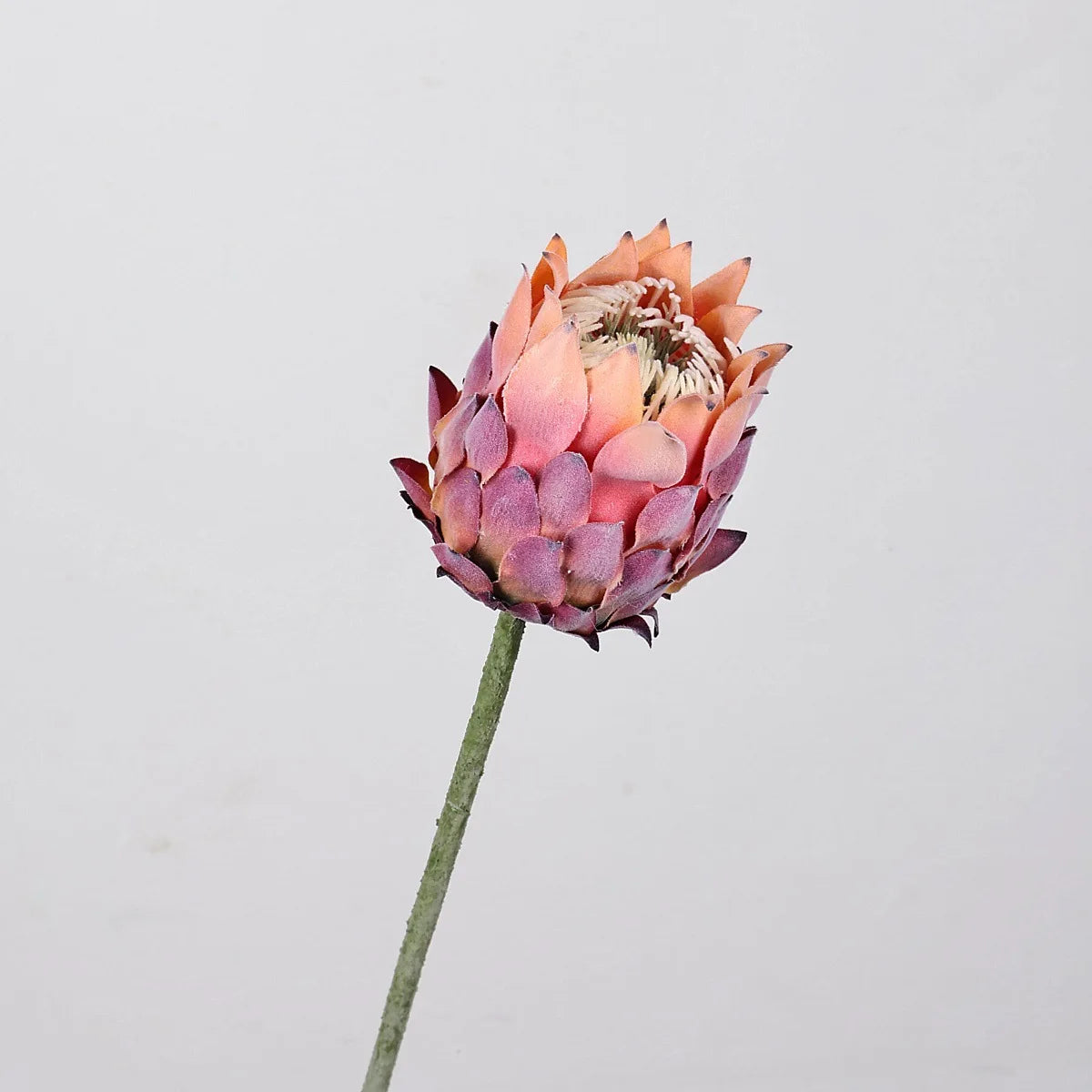 27.5" Artificial King Protea Flower – Nordic Thistle