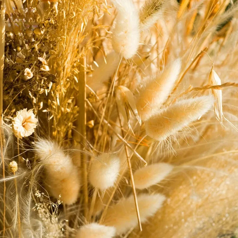 60-Piece Rabbit Tail Grass Bouquet Bulk – Fluffy Faux Bunny Tail Pampas Grass