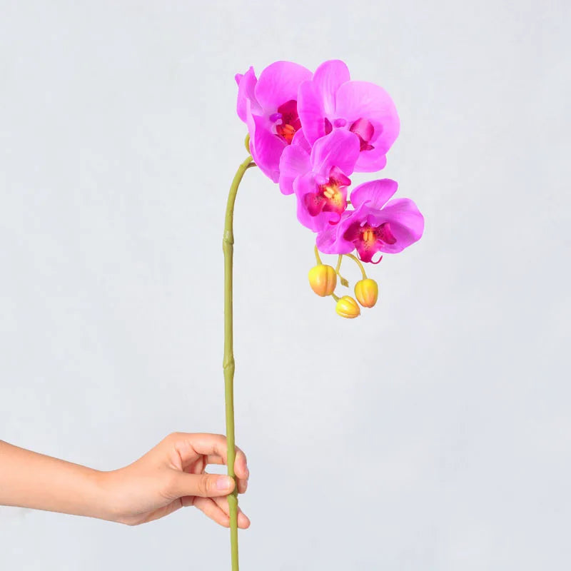 Artificial Butterfly Orchid Stem – 9-Head 98cm Faux Moth Orchid Branch