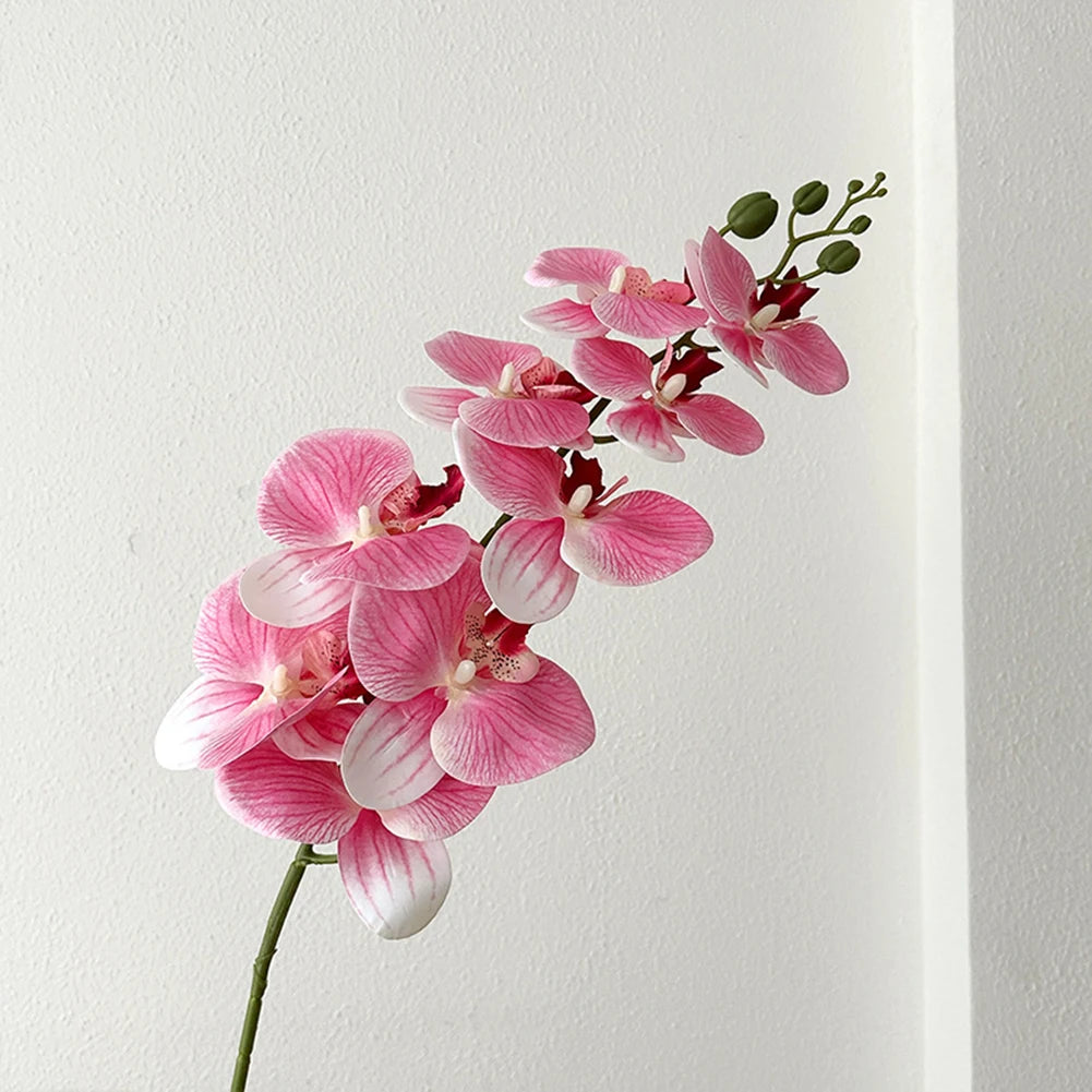 Artificial Phalaenopsis Orchid Stem – 98cm Long Faux Orchid