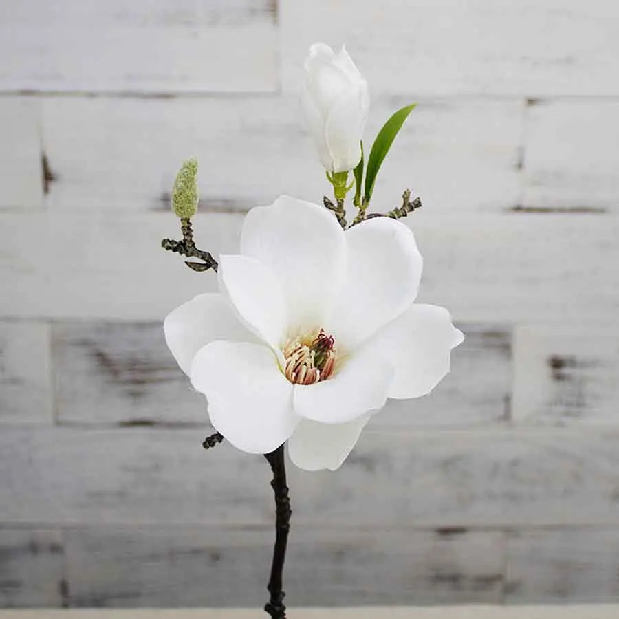 Artificial Magnolia Bouquet – Real Touch White Silk Stems