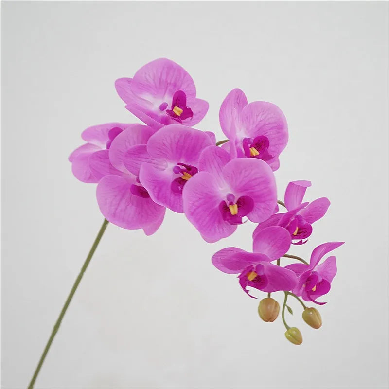 Artificial Butterfly Orchid Stem – 9-Head 98cm Faux Moth Orchid Branch