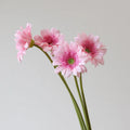 Artificial Daisy Stem Bulk – Real Touch Artificial Flowers