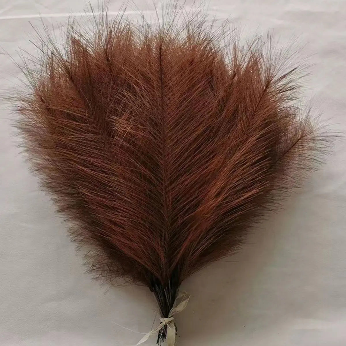 Artificial Pampas Grass Reed – Silk