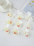 Artificial Orchid Flower Heads (50/100pcs) – Silk