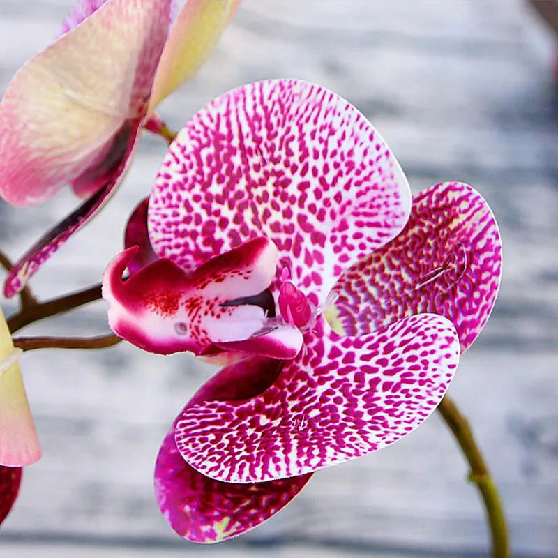 6 Head Silk Faux Butterfly Orchid Flowers