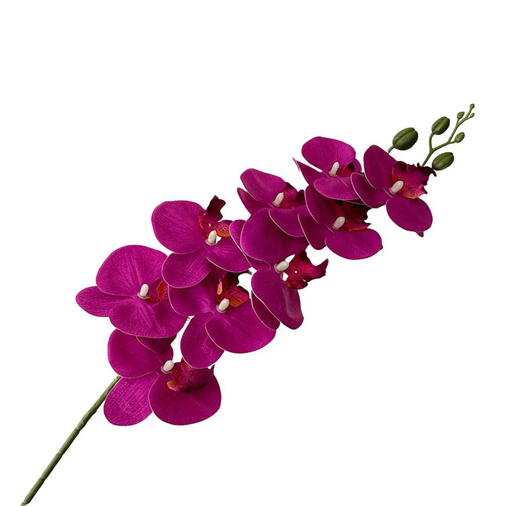 Artificial Phalaenopsis Orchid Stem – 98cm Long Faux Orchid
