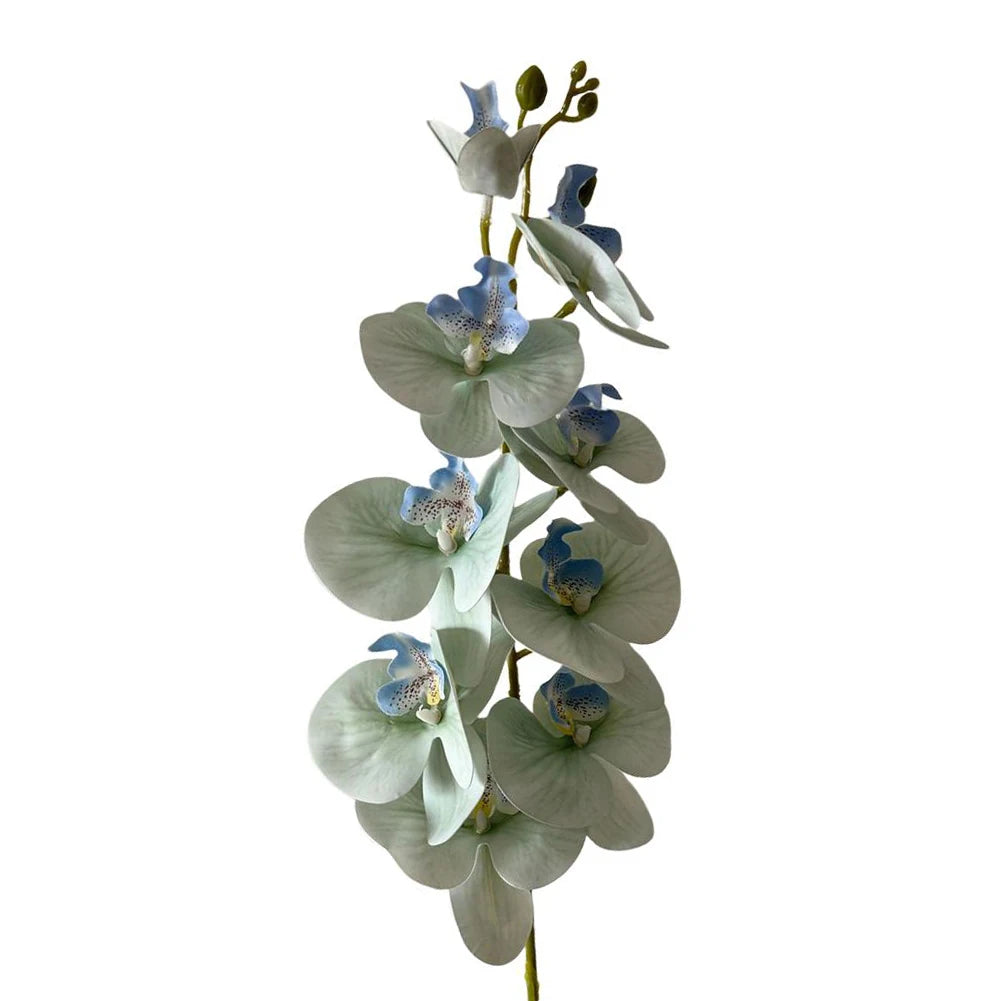 Artificial Phalaenopsis Orchid Stem – 98cm Long Faux Orchid