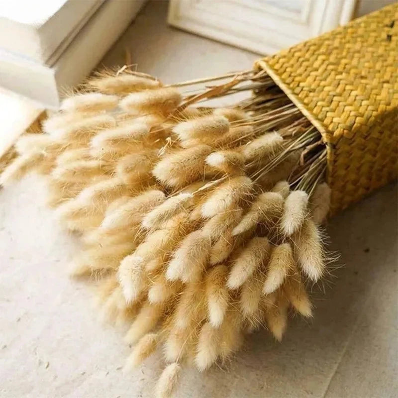 60-Piece Rabbit Tail Grass Bouquet Bulk – Fluffy Faux Bunny Tail Pampas Grass