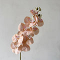 Artificial Phalaenopsis Orchid Stem – 98cm Long Faux Orchid