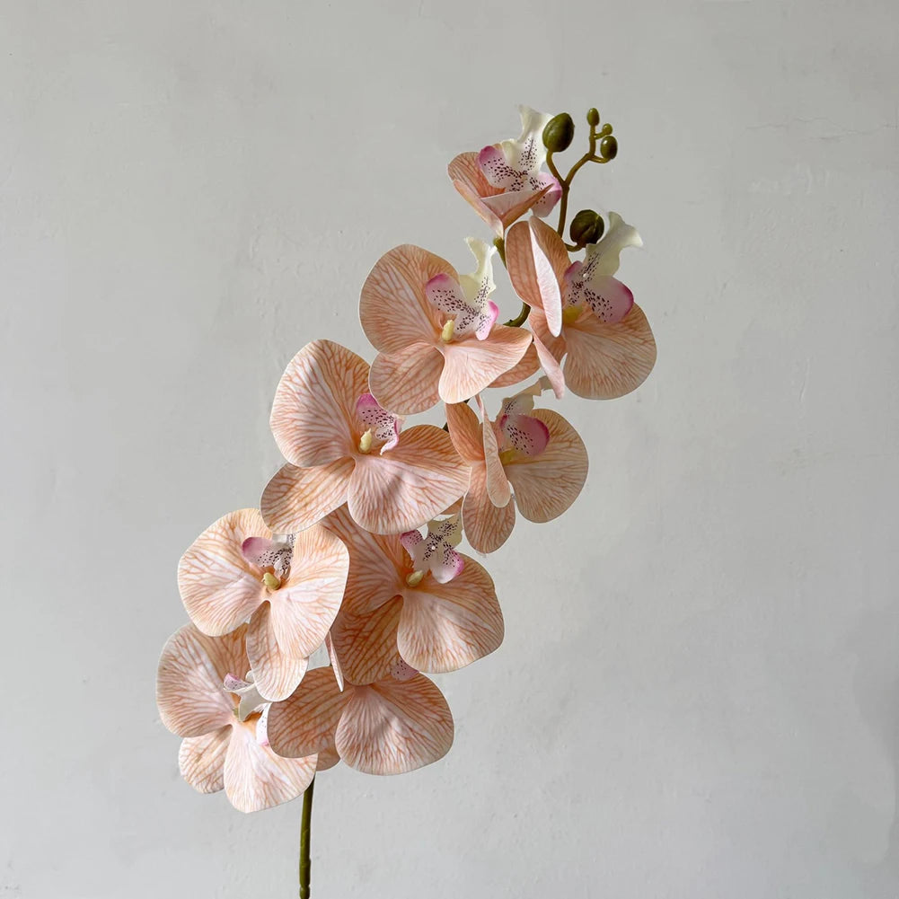 Artificial Phalaenopsis Orchid Stem – 98cm Long Faux Orchid