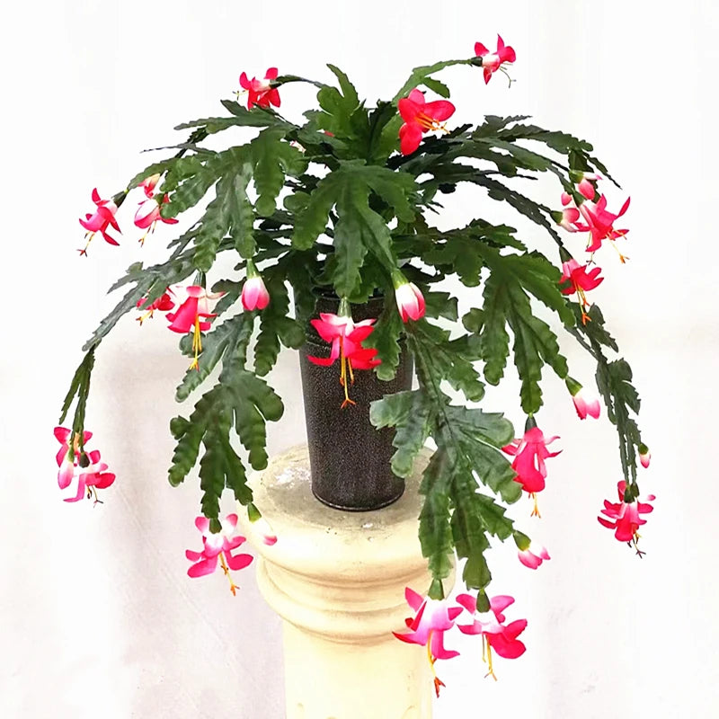 Artificial Crab Claw Orchid Flower Bulk – 50cm Real Touch Phalaenopsis Faux Orchid Branch
