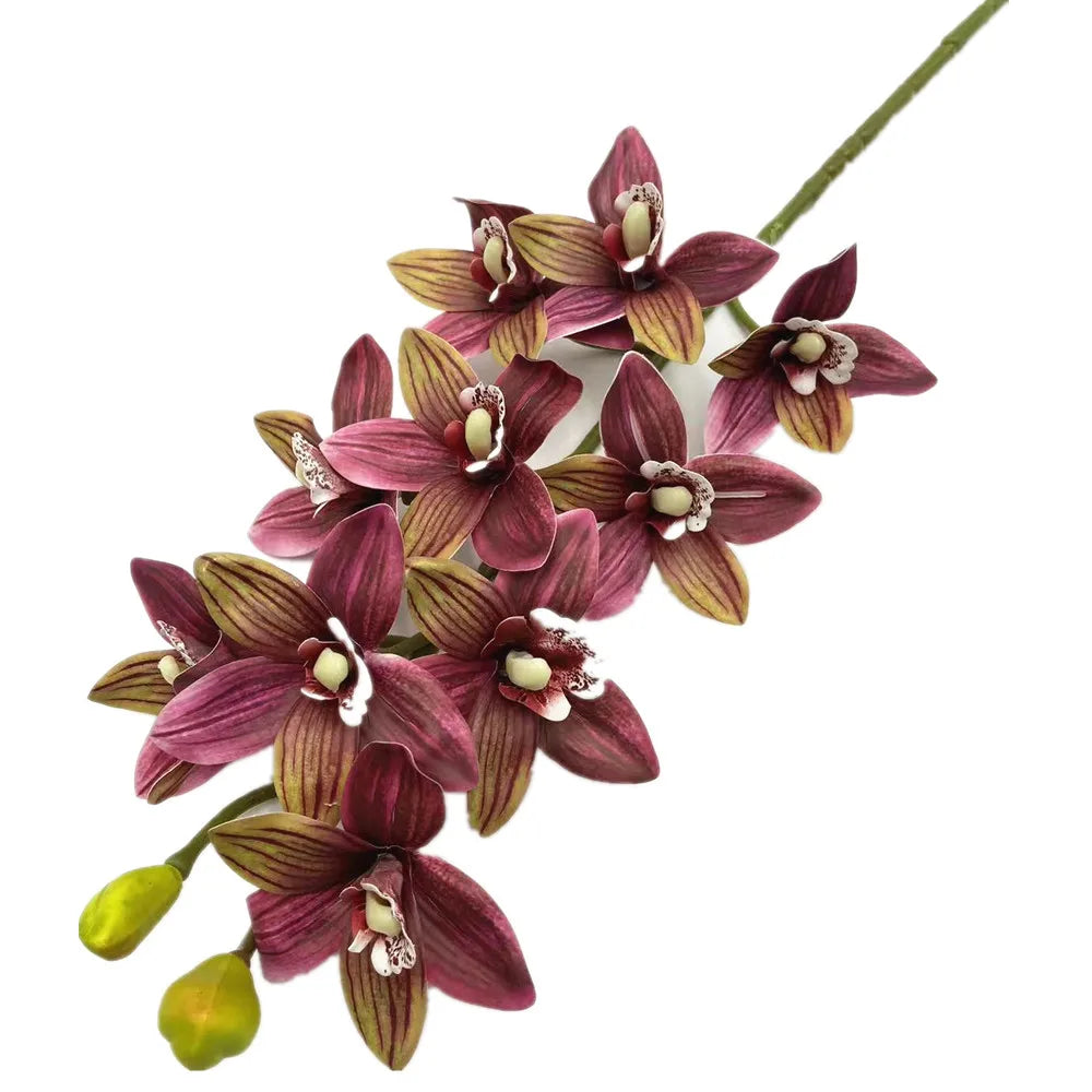 Artificial Cymbidium Orchid Stems Bulk (4PCS) – Real Touch Orchids