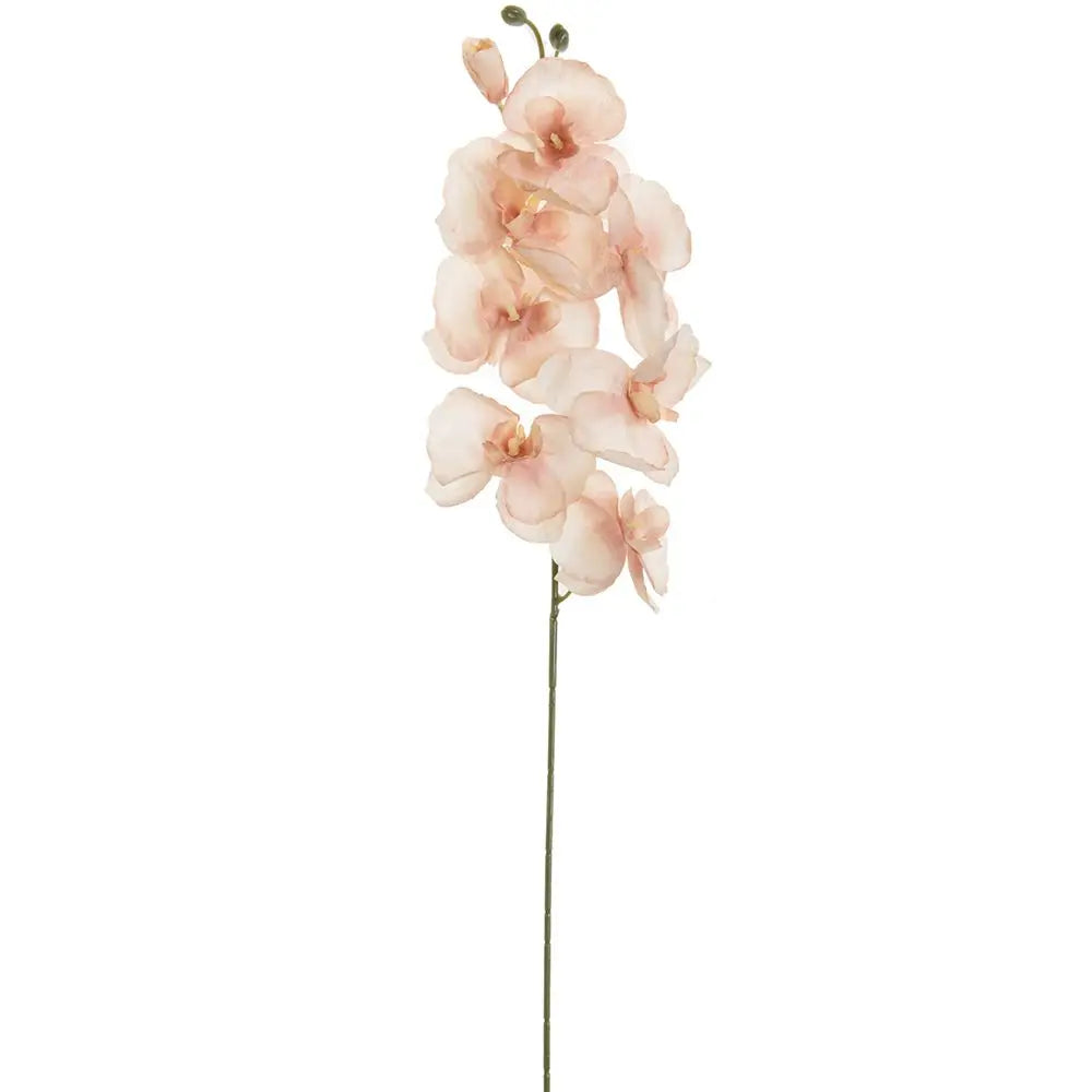 Artificial Butterfly Orchid Flower Branch – Silk