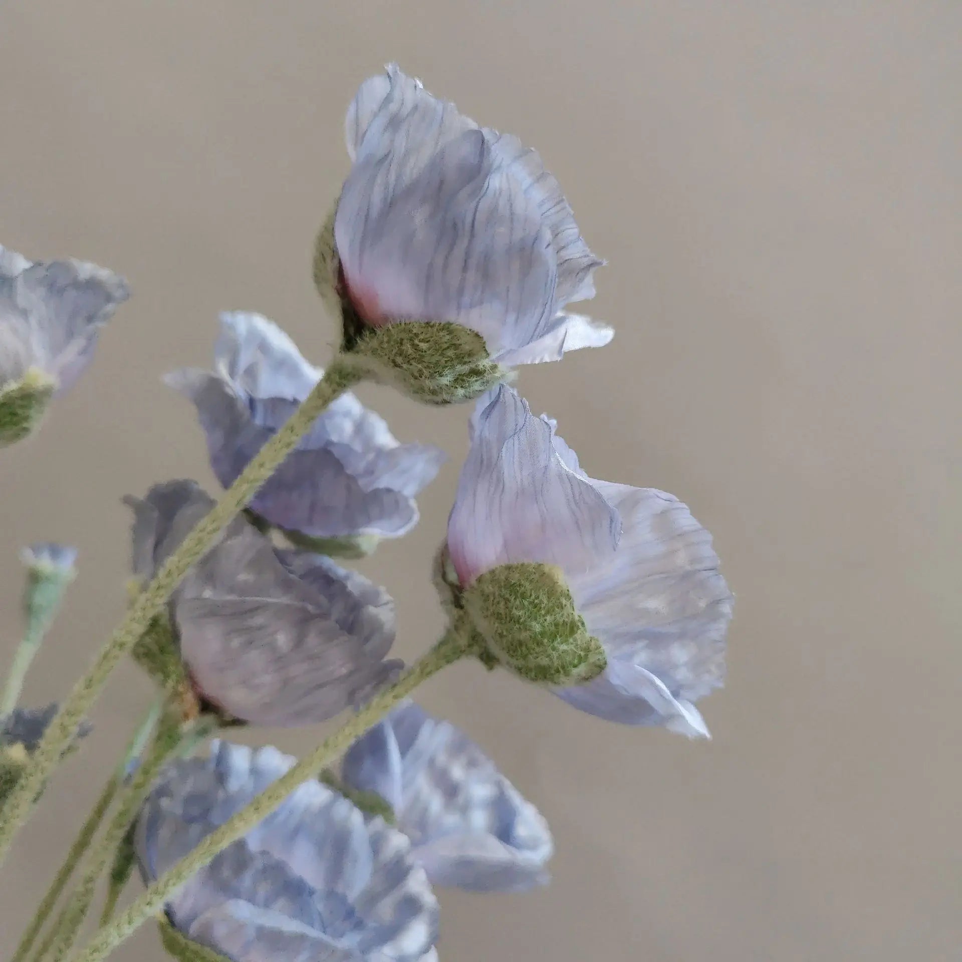 Artificial Poppy Stems – 65cm Long Faux Flowers for Wedding, DIY Decor