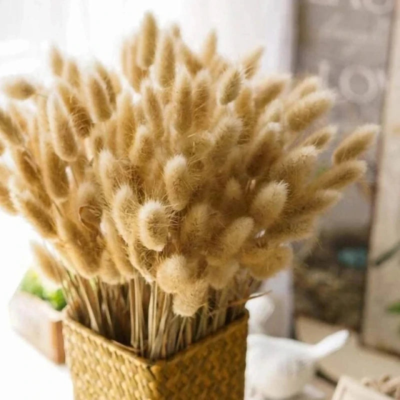 60-Piece Rabbit Tail Grass Bouquet Bulk – Fluffy Faux Bunny Tail Pampas Grass