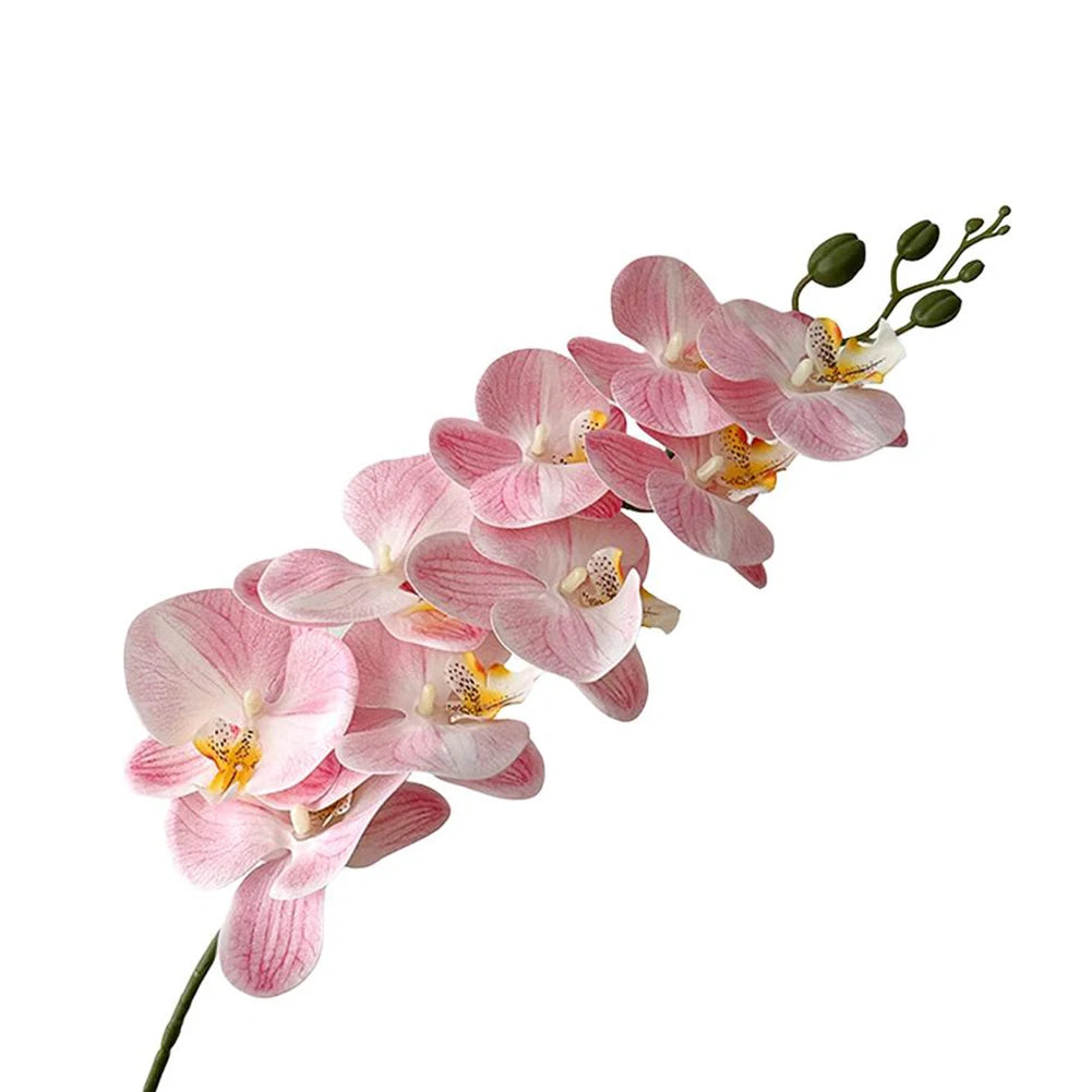 Artificial Phalaenopsis Orchid Stem – 98cm Long Faux Orchid