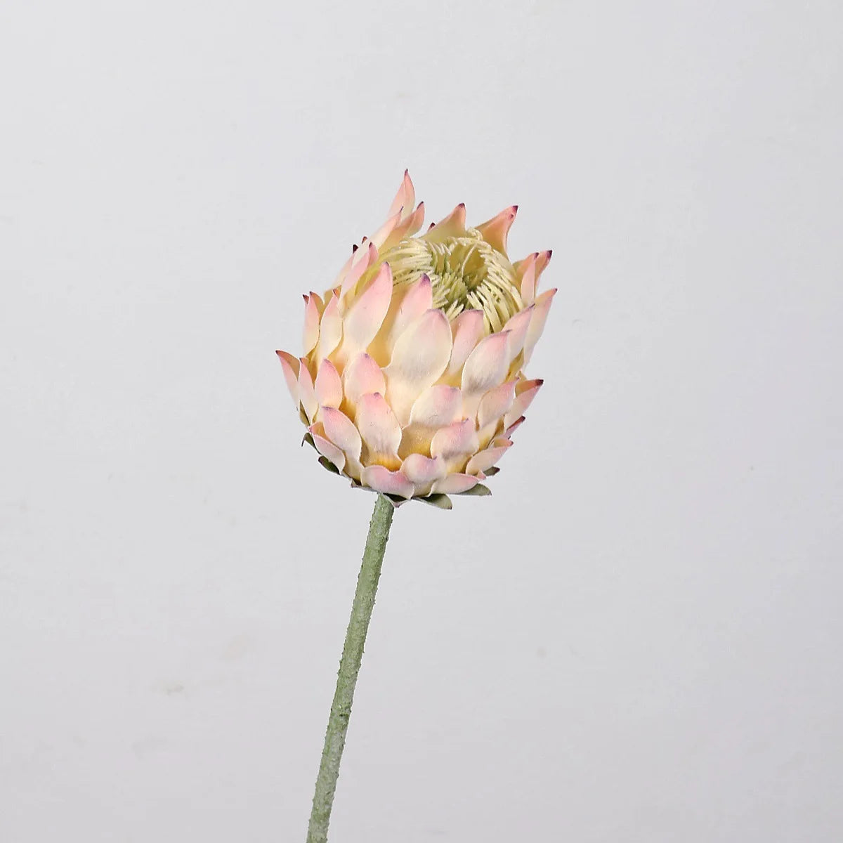 27.5" Artificial King Protea Flower – Nordic Thistle