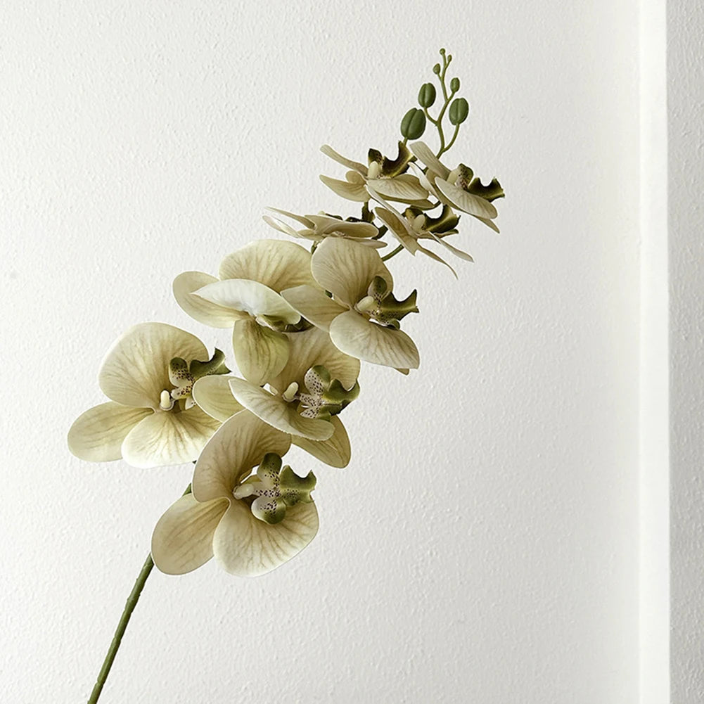 Artificial Phalaenopsis Orchid Stem – 98cm Long Faux Orchid