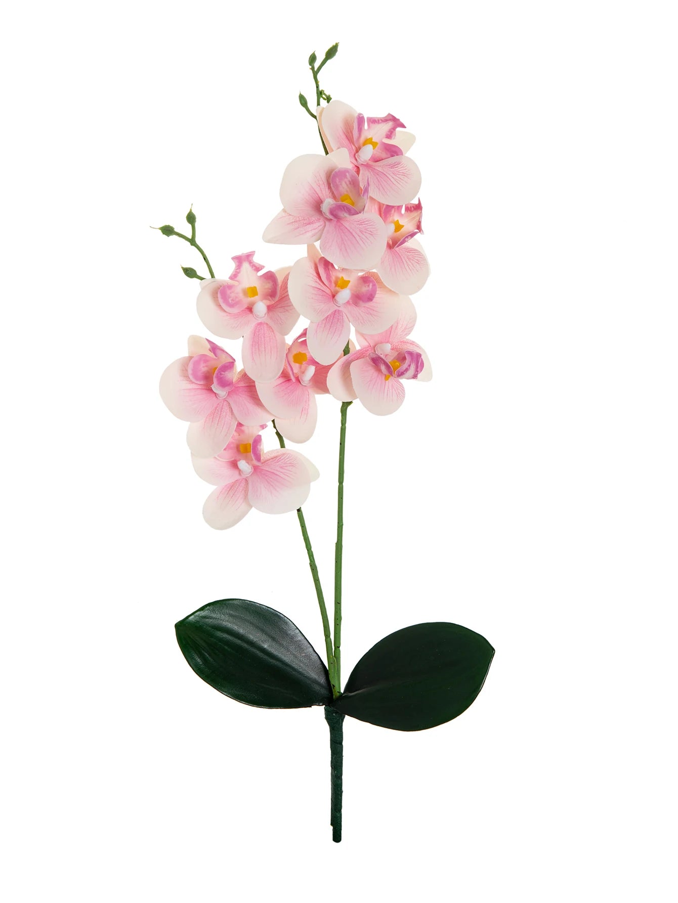Artificial Butterfly Orchid Branch – 2 Fork Silk Orchid