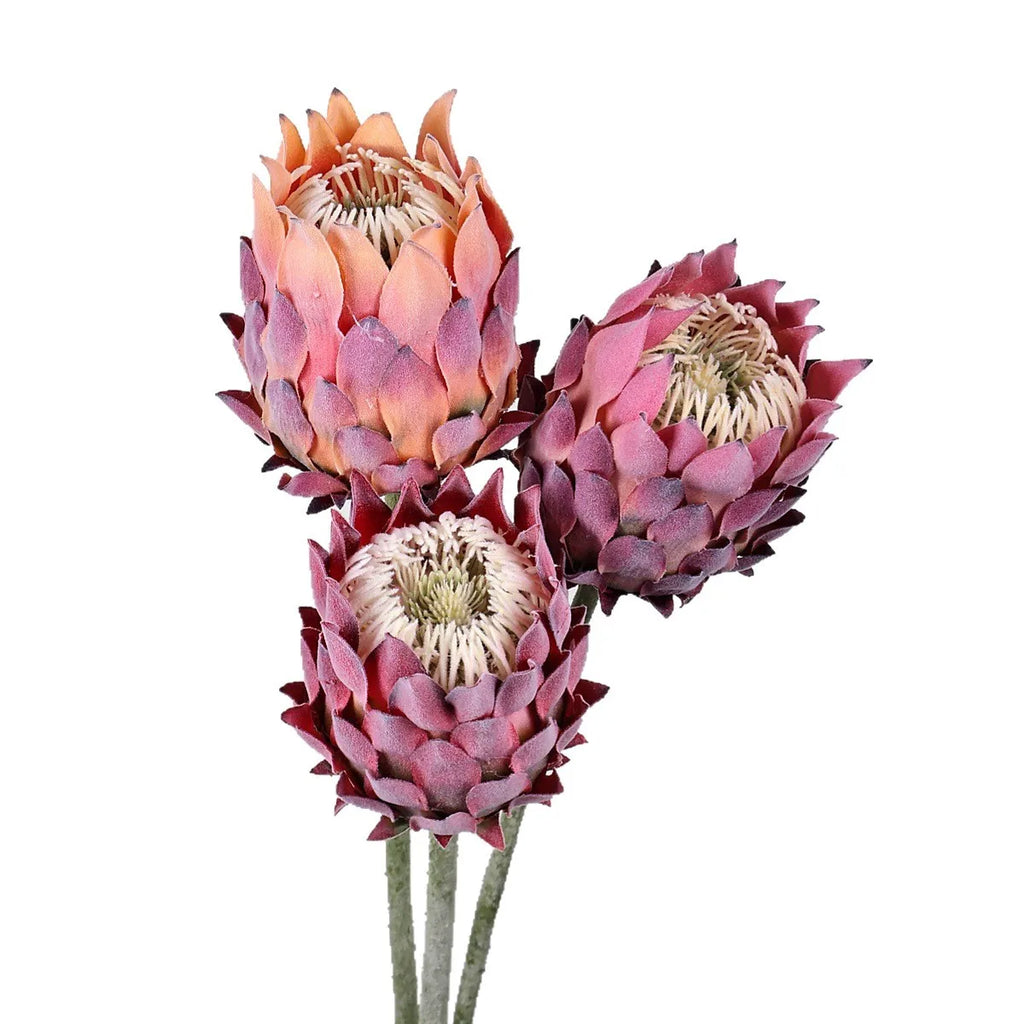 27.5" Artificial King Protea Flower – Nordic Thistle