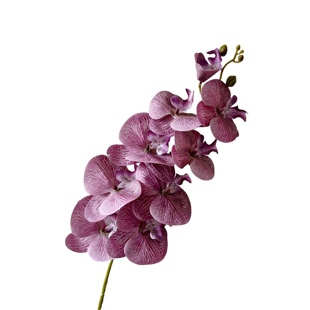 Artificial Phalaenopsis Orchid Stem – 98cm Long Faux Orchid